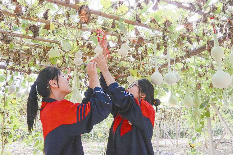 永清：多种活动迎接 “开学第一课”