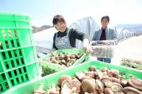 河北临城：“四好农村路” 助推乡村振兴驶入发展快车道