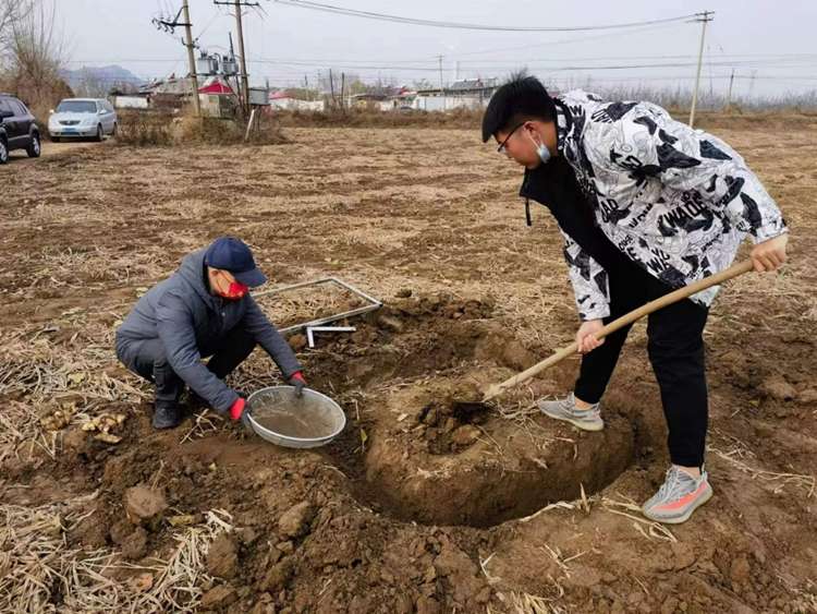 秦皇岛抚宁开展农田地膜残留监测
