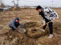 秦皇岛抚宁开展农田地膜残留监测