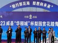 “相约梨花海 梨想向未来”！威县梨园赏花踏青系列活动盛装登场