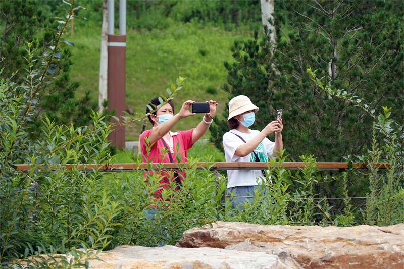 奋进新征程 建功新时代·非凡十年丨河北：生态修复展新颜