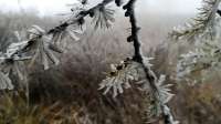 一夜入冬，石家庄的第一场雪来了！下在了驼梁