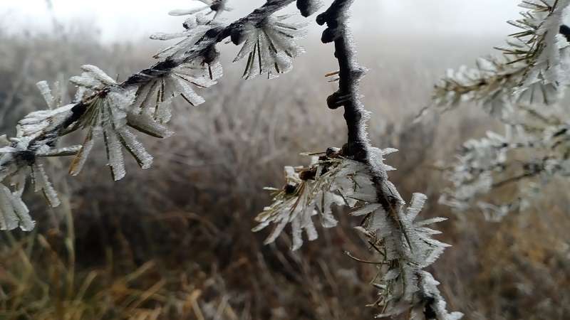 一夜入冬，石家庄的第一场雪来了！下在了驼梁