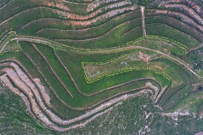 奋进新征程 建功新时代·非凡十年丨河北：生态修复展新颜