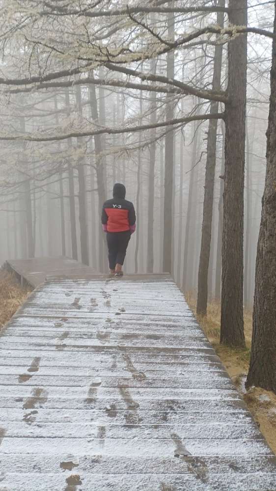 一夜入冬，石家庄的第一场雪来了！下在了驼梁