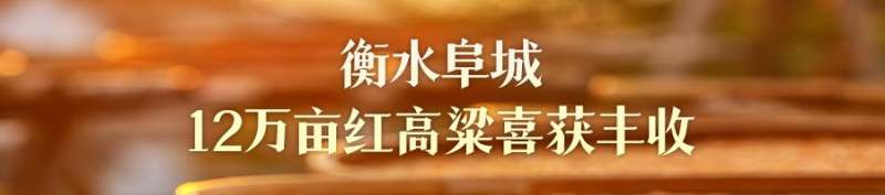 撸起袖子加油干 自己填写成绩单 | 燕赵地硕果累累 特色农业助农增收