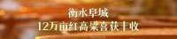 撸起袖子加油干 自己填写成绩单 | 燕赵地硕果累累 特色农业助农增收