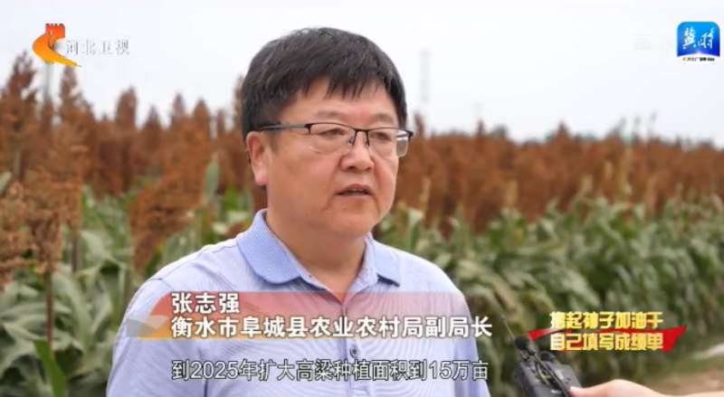 撸起袖子加油干 自己填写成绩单 | 燕赵地硕果累累 特色农业助农增收