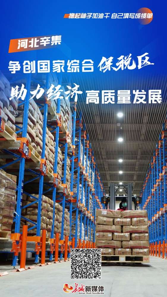 撸起袖子加油干 自己填写成绩单丨辛集：争创综合保税区 助力经济高质量发展
