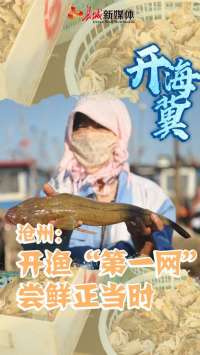 开海“冀” | 沧州：开渔“第一网” 尝鲜正当时
