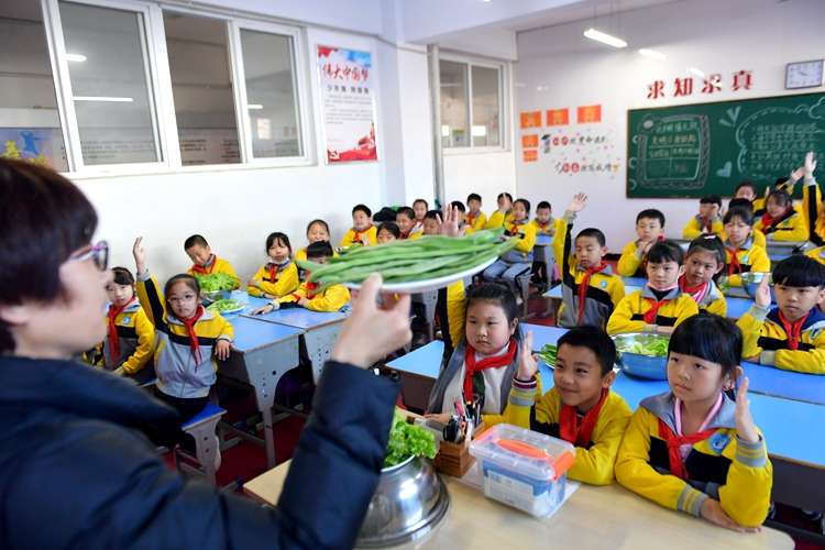 迁安：校园劳动基地“春耕”忙