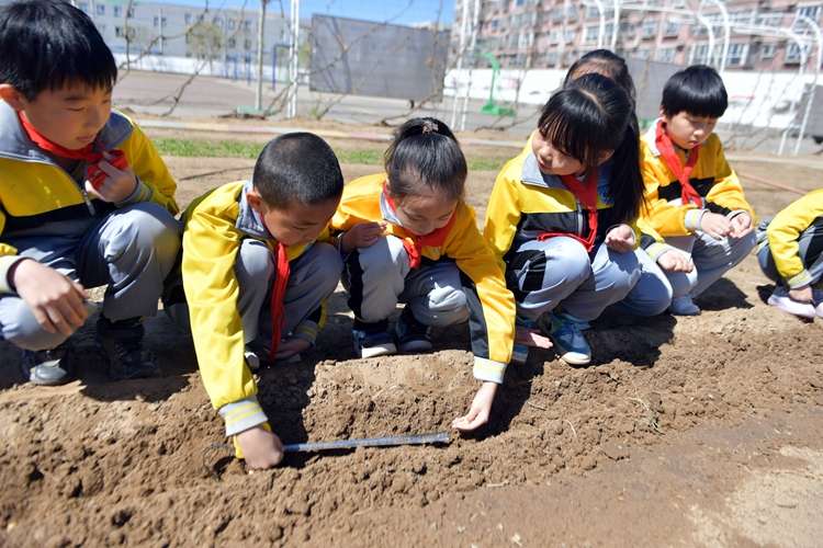 迁安：校园劳动基地“春耕”忙
