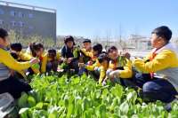 迁安：校园劳动基地“春耕”忙
