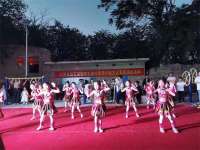 和谐之春•相约石岗——沙河市刘石岗村举办春季村晚文化惠民演出活动