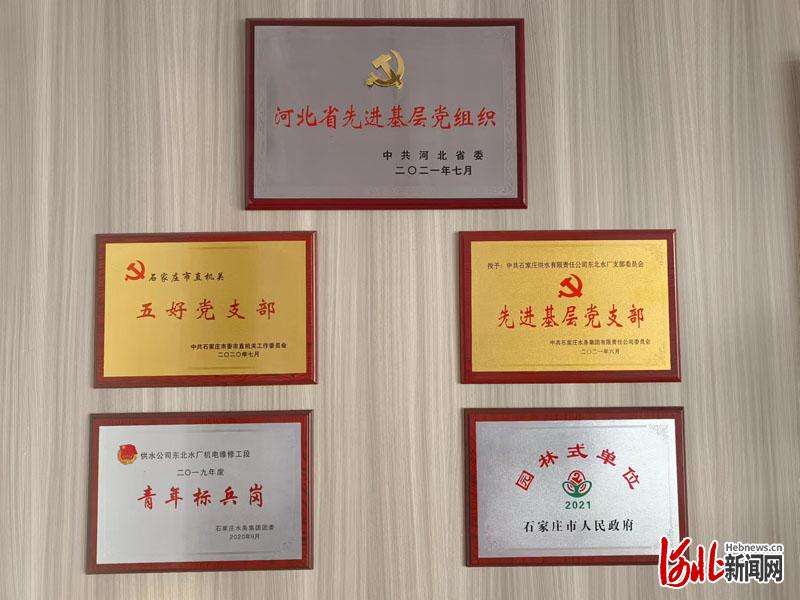 建引领聚合力 点滴真情润万家——石家庄水投集团供水公司东北水厂支深入推进标准化规范化侧记