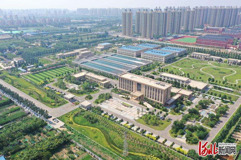 建引领聚合力 点滴真情润万家——石家庄水投集团供水公司东北水厂支深入推进标准化规范化侧记