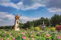 石家庄晋州：盘活农旅资源 助力乡村振兴