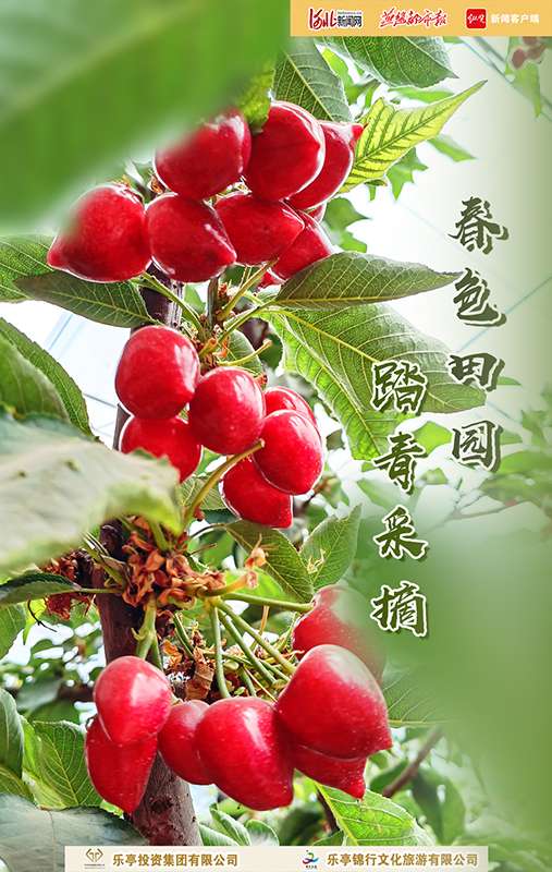 去乐亭，赴一场春天的约会