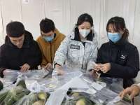 秦皇岛抚宁开展“返家乡”社会实践活动