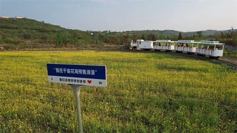邯郸市复兴区：农文体旅融合激发消费市场潜力