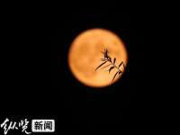 中秋假期遇上“秋老虎”，河北多地温依然30℃！