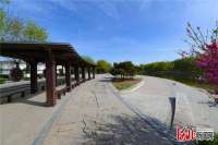 石家庄深泽：精耕城市更新 绘就幸福底色