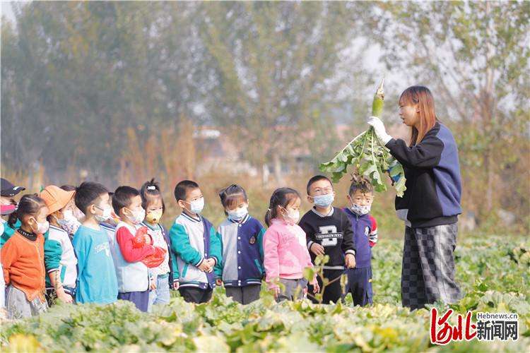 廊坊市广阳区：采摘正当时 乡村产业旺
