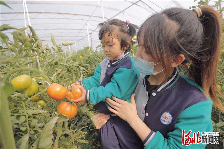 廊坊市广阳区：采摘正当时 乡村产业旺