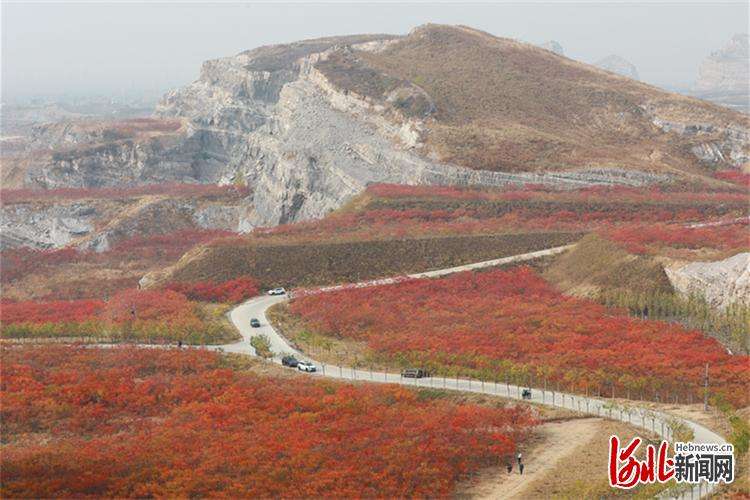 三河东矿区华丽转身 漫山红叶成市民打卡地