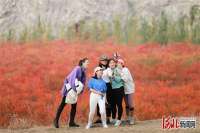 三河东矿区华丽转身 漫山红叶成市民打卡地