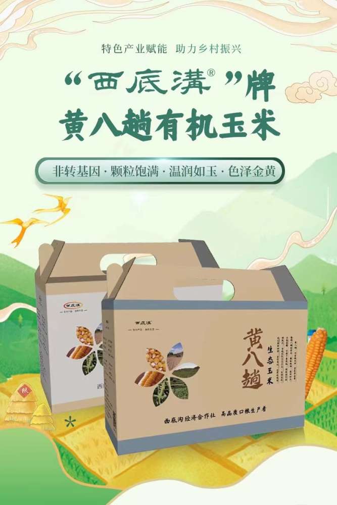 隆化县西底沟村采摘野菜正当时