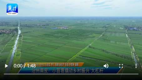 【微视频集】看，丰收景象“装点”了秋日的田野！