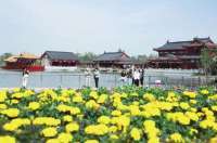 河北沧州：一园花草盛 邀君探美景