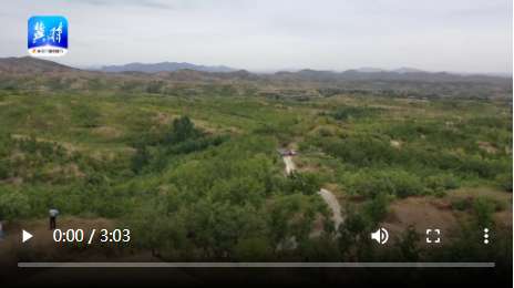 【微视频集】燕赵地“丰”景如画，尽赏秋实美！