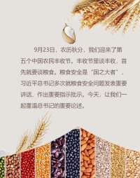 【学】喜迎丰收节 聚焦“粮食安全” 这样说
