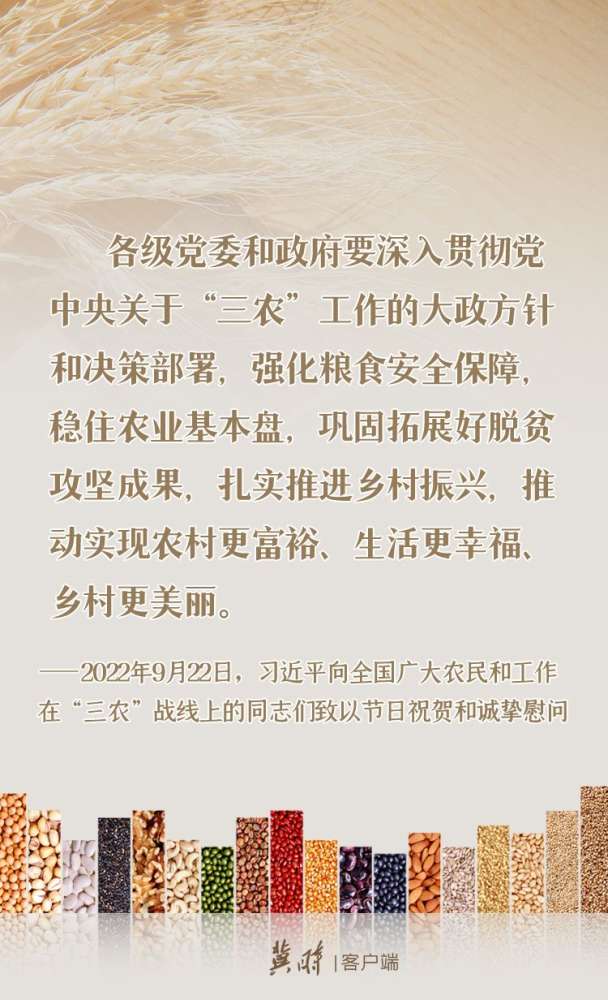 【学】喜迎丰收节 聚焦“粮食安全” 这样说