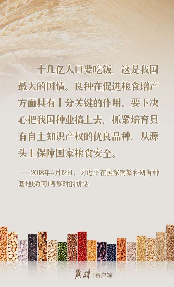 【学】喜迎丰收节 聚焦“粮食安全” 这样说