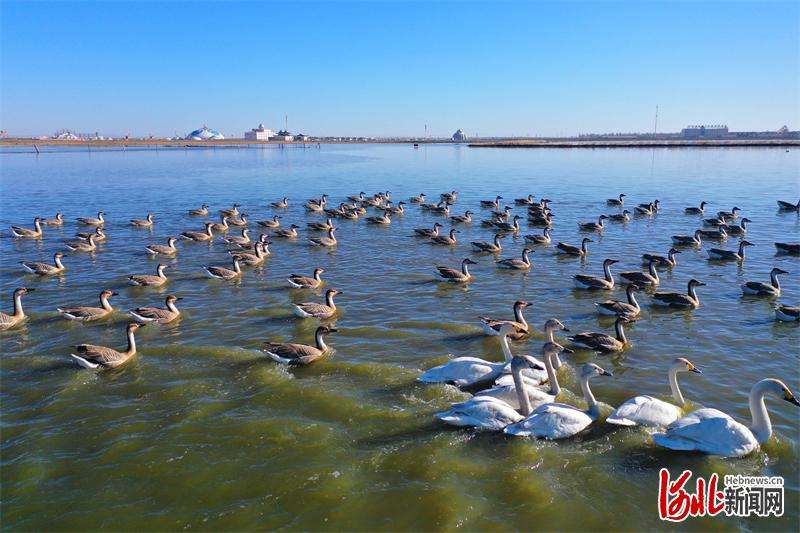 式现代化河北场景张家口答卷丨市水务组、长张永波这样说