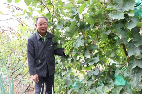 【喜迎】秦皇岛： 共庆丰收节 你看你看，丰收的笑脸！
