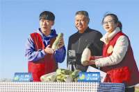 厂：助农直播走进田间地头