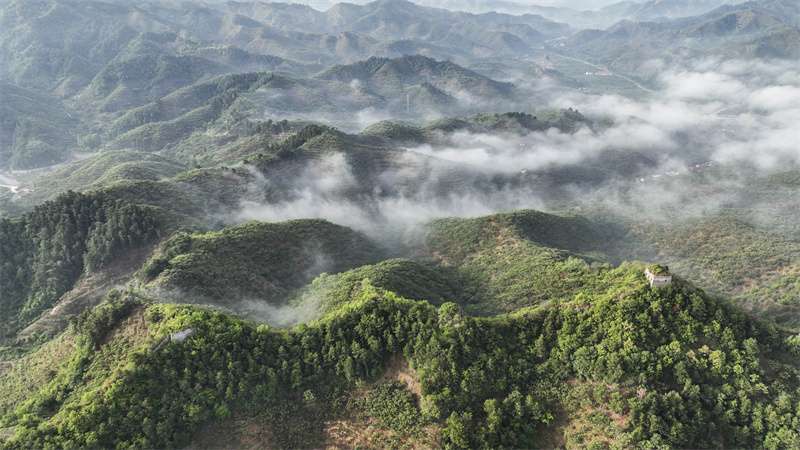 河北遵化：长城云雾缥缈景如画