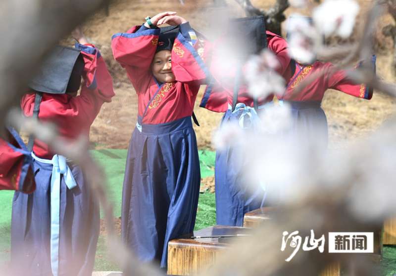 张家口怀来：杏林深处最炫风