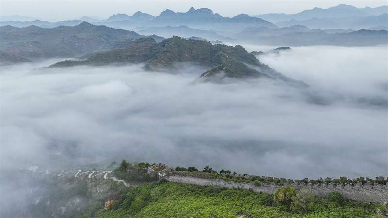 河北遵化：长城云雾缥缈景如画