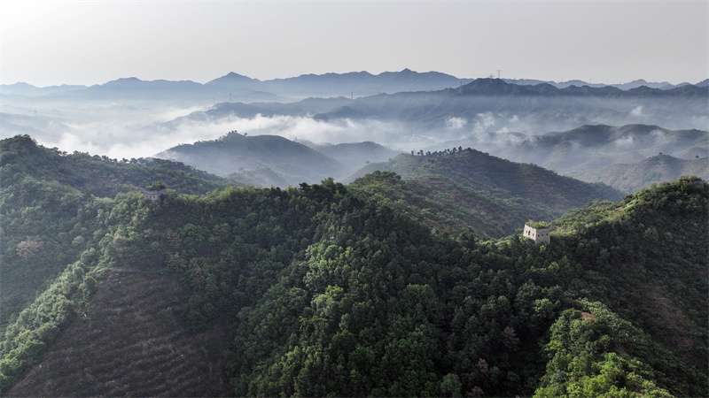 河北遵化：长城云雾缥缈景如画