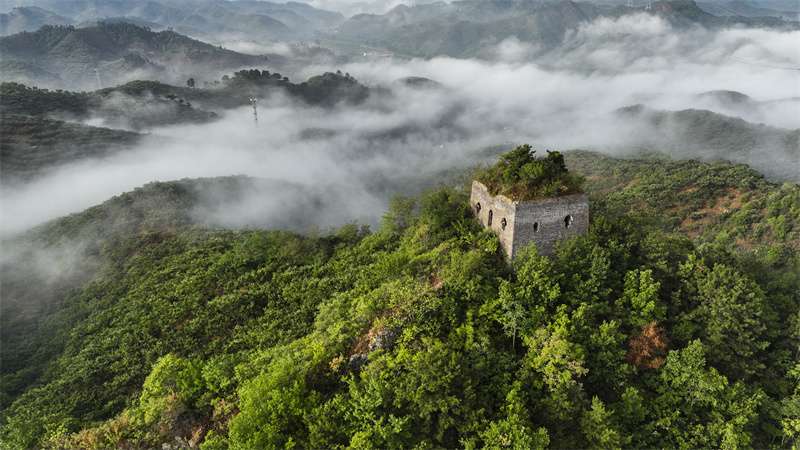 河北遵化：长城云雾缥缈景如画