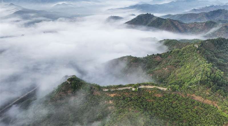 河北遵化：长城云雾缥缈景如画