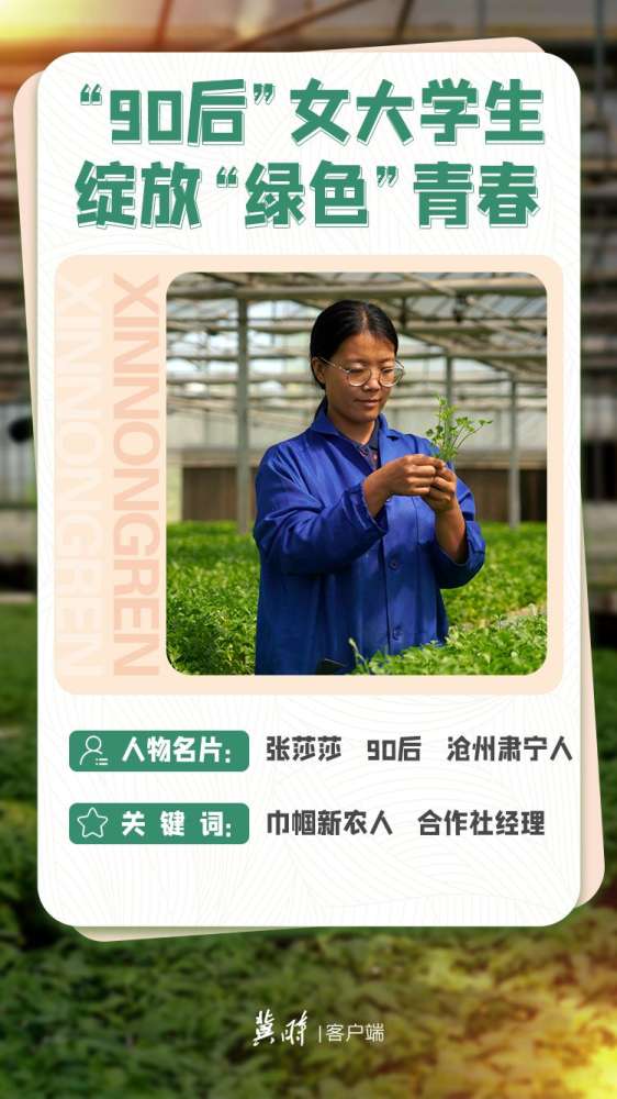 丰收“冀”丨看，“新农人”燕赵地显身手