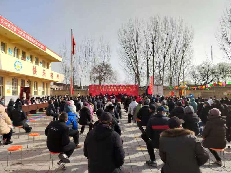 深泽县南冶庄头村：合作社里领分红 致富增收绽笑容