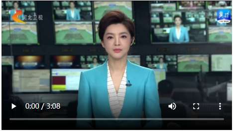 【撸起袖子加油干 自己填写成绩单】河北：抓投资上项目 助力经济社会高质量发展